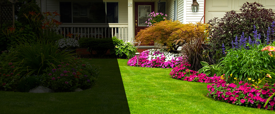 San Saba Landscapers
