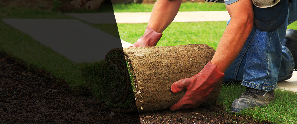San Saba Landscapers
